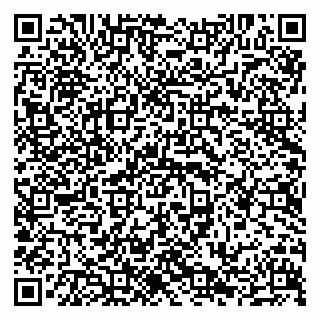 vCard 79638203600