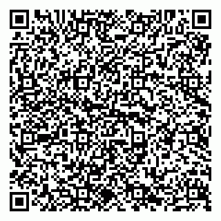 vCard 79638203739