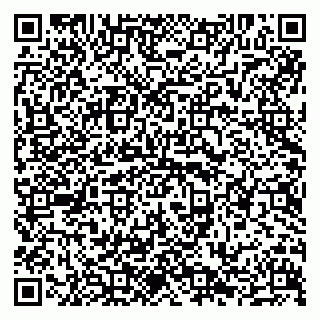vCard 79638203939