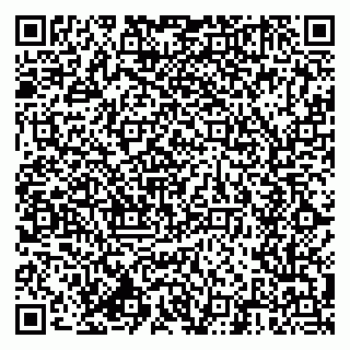 vCard 79640490131