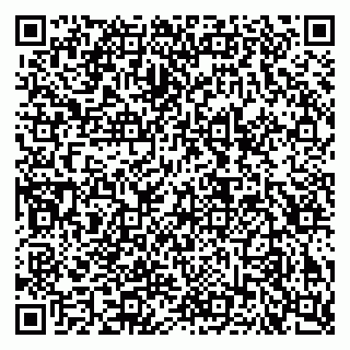 vCard 79640780133