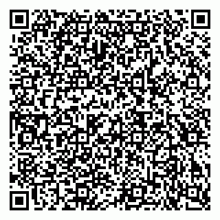 vCard 79640780138