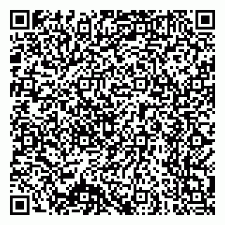 vCard 79640780163
