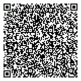 vCard 79640780221