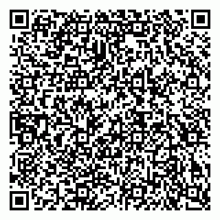 vCard 79640780274
