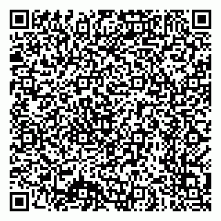 vCard 79640780287