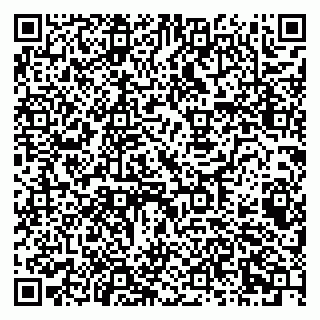 vCard 79640780294