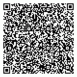 vCard 79640780301