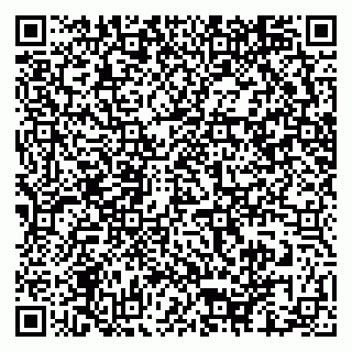 vCard 79640780303