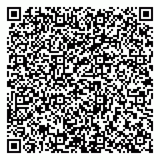 vCard 79640780304