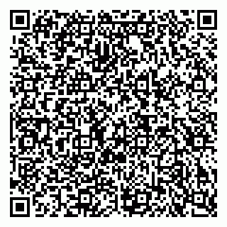 vCard 79640780313