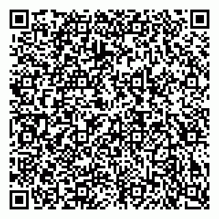 vCard 79640780331