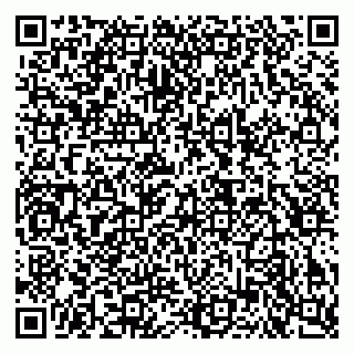 vCard 79640780355