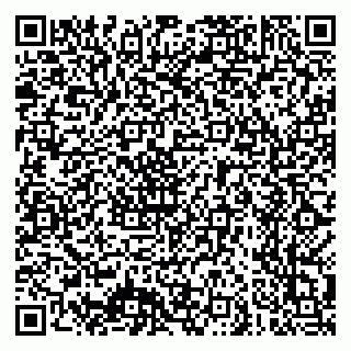 vCard 79640780371