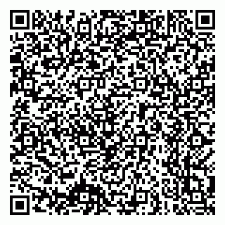 vCard 79640780373