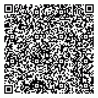 vCard 79640780381