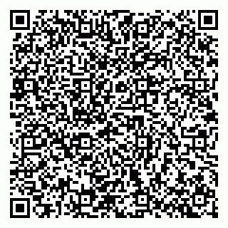 vCard 79640780383