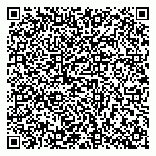 vCard 79640780385