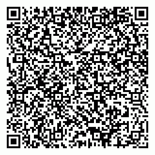 vCard 79640780397