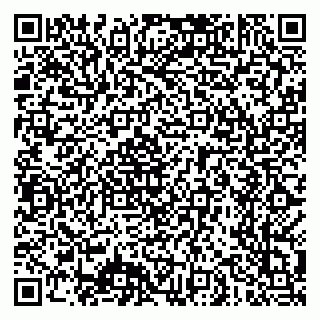 vCard 79640780398