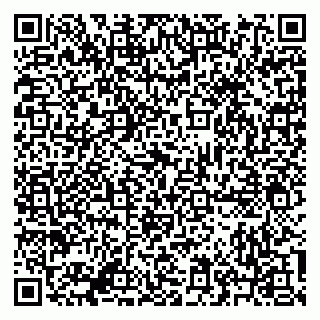 vCard 79641283785