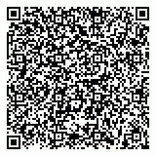 vCard 79641283819