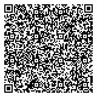 vCard 79641283879