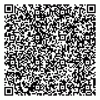 vCard 79641283968