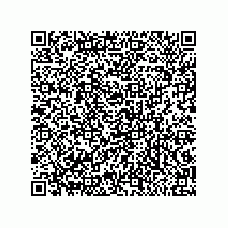 vCard 79643200381