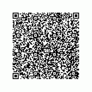 vCard 79648300378