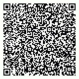 vCard 79658002131