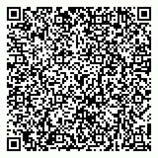 vCard 79658002811