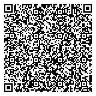 vCard 79658003203