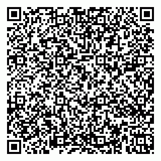 vCard 79658003231