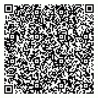 vCard 79658050330