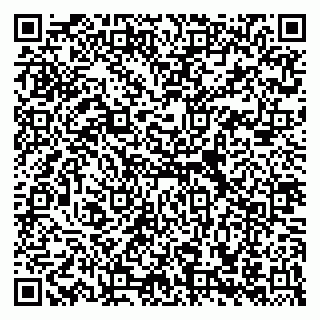 vCard 79658700039