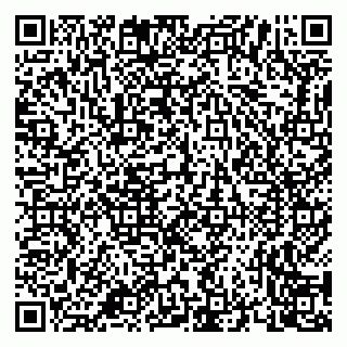 vCard 79658700073