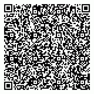 vCard 79658700084
