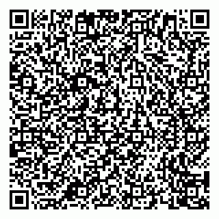 vCard 79658700085