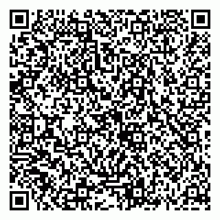 vCard 79658700087
