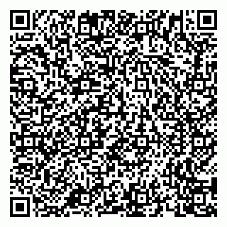 vCard 79658700090
