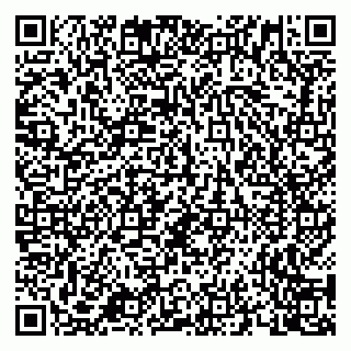 vCard 79658700095
