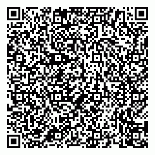 vCard 79658700103