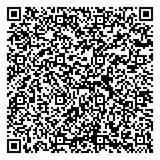 vCard 79658700107