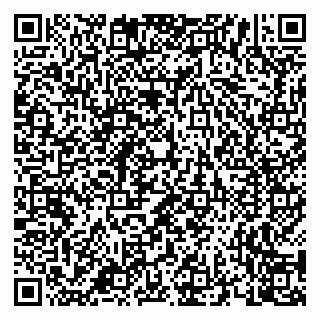 vCard 79658700131