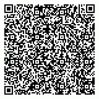 vCard 79658700133