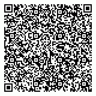 vCard 79658700137