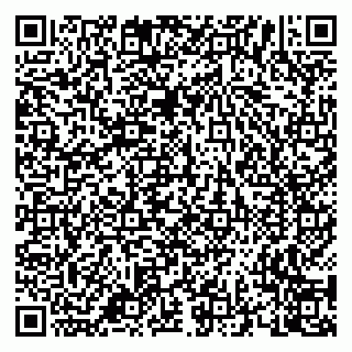 vCard 79658700138