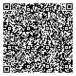 vCard 79658700140
