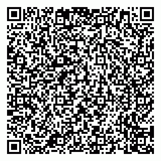 vCard 79658700181